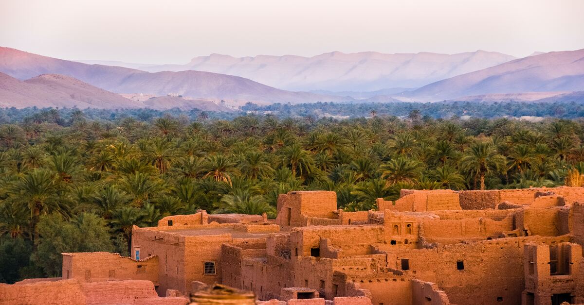 Discover Moroccan culture